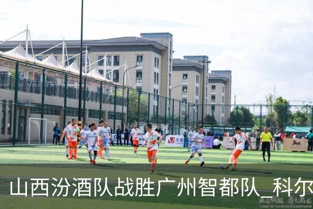 山西汾酒队战胜广州智都队 科尔内利表现突出